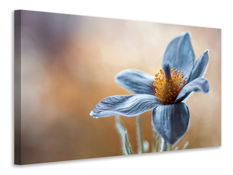 modern-3-piece-canvas-print-pasque