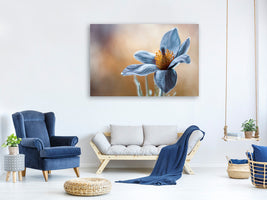 5-piece-canvas-print-pasque