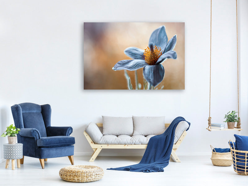 5-piece-canvas-print-pasque