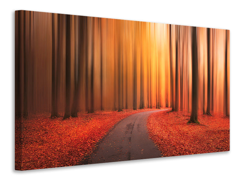 modern-3-piece-canvas-print-path-to-unknown
