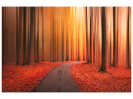 modern-4-piece-canvas-print-path-to-unknown