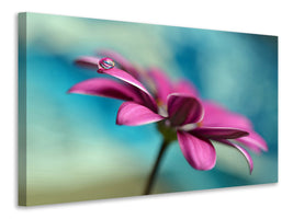 panoramic-canvas-print-pattern-drop