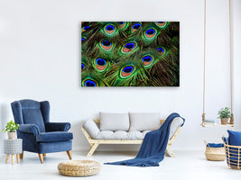3-piece-canvas-print-peacock-feathers-xxl