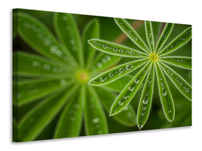 modern-3-piece-canvas-print-pearly-lupine