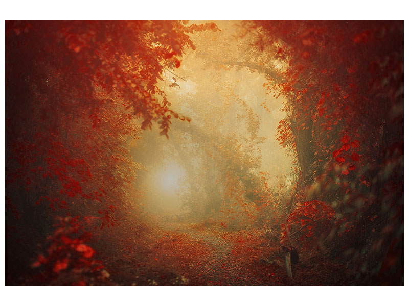 modern-3-piece-canvas-print-personal-journey