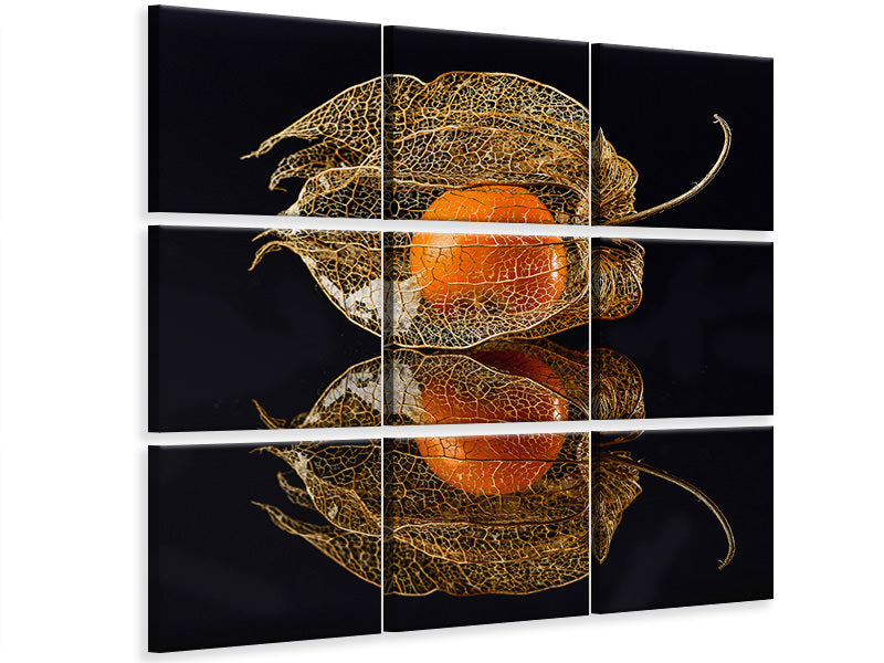 4-piece-canvas-print-physalis