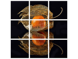 canvas-print-physalis