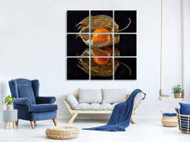 4-piece-canvas-print-physalis