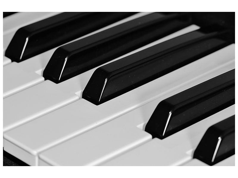 modern-4-piece-canvas-print-piano-keys-xl