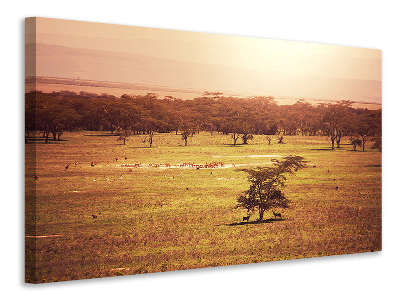 modern-4-piece-canvas-print-picturesque-africa