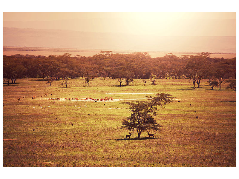 panoramic-3-piece-canvas-print-picturesque-africa