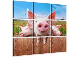 canvas-print-pig-in-luck