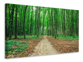 panoramic-3-piece-canvas-print-pine-forests