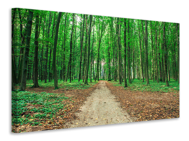 4-piece-canvas-print-pine-forests