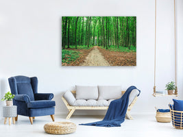 panoramic-3-piece-canvas-print-pine-forests