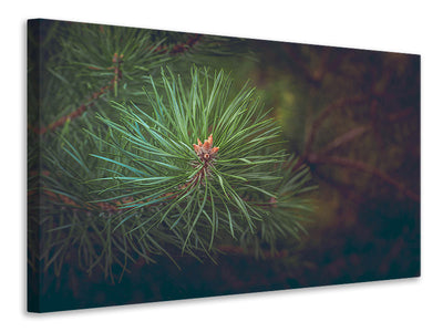 3-piece-canvas-print-pine-tree-close-up