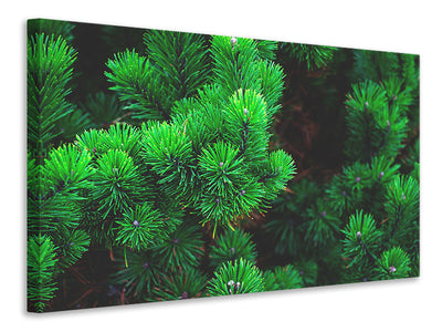 4-piece-canvas-print-pine-xl