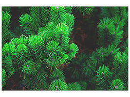 modern-3-piece-canvas-print-pine-xl