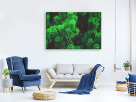 4-piece-canvas-print-pine-xl