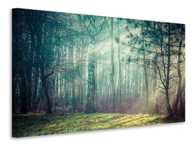 5-piece-canvas-print-pinewood