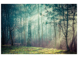 5-piece-canvas-print-pinewood