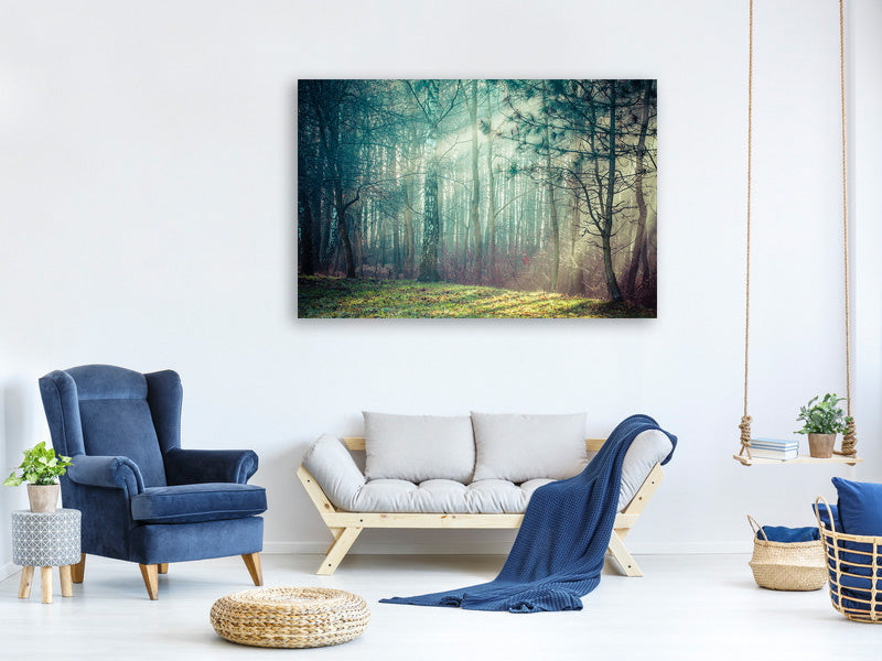 5-piece-canvas-print-pinewood