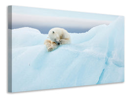3-piece-canvas-print-polar-bear-grooming