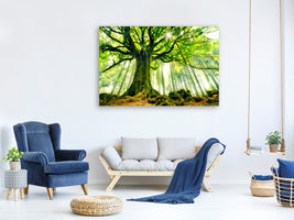 5-piece-canvas-print-ponthus-beech