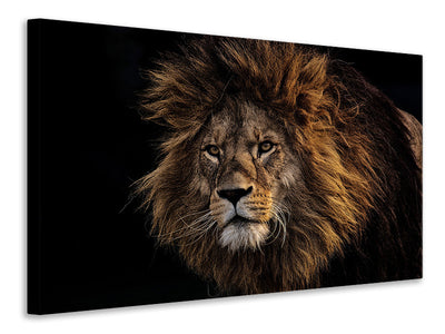 3-piece-canvas-print-portrait-of-a-lion