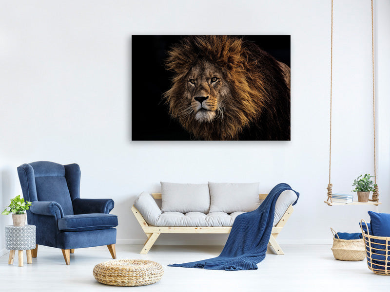 3-piece-canvas-print-portrait-of-a-lion
