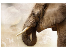 3-piece-canvas-print-portrait-of-an-elephant