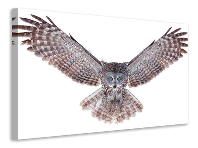 4-piece-canvas-print-power-great-grey-owl