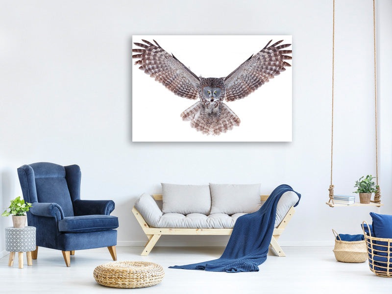 4-piece-canvas-print-power-great-grey-owl