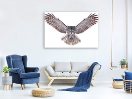 modern-3-piece-canvas-print-power-great-grey-owl