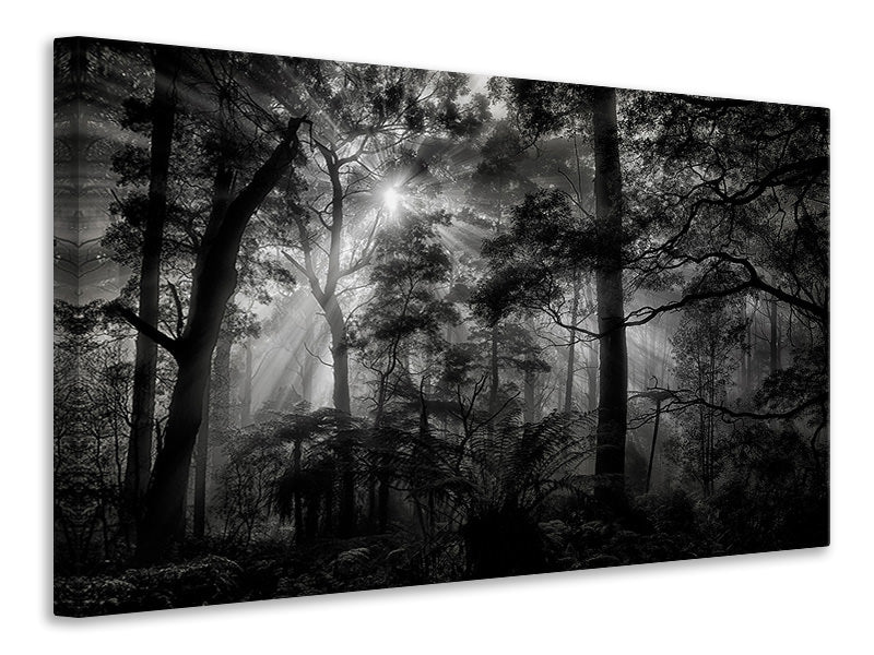 5-piece-canvas-print-primary-forest