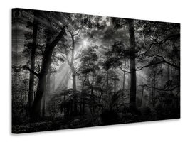 4-piece-canvas-print-primary-forest