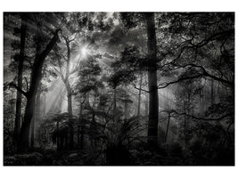 4-piece-canvas-print-primary-forest