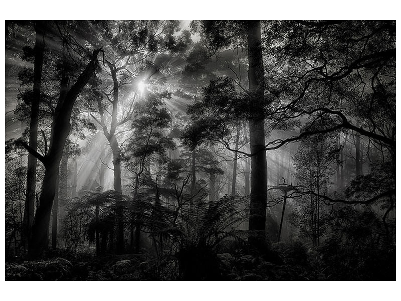 modern-3-piece-canvas-print-primary-forest