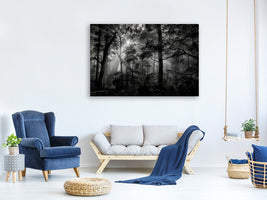 panoramic-canvas-print-primary-forest