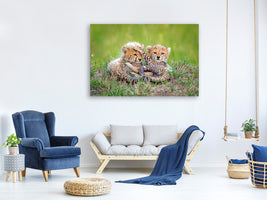 panoramic-canvas-print-promising