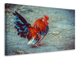 3-piece-canvas-print-proud-cock