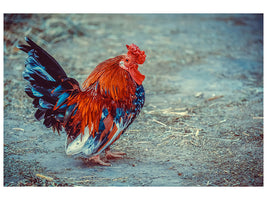 3-piece-canvas-print-proud-cock