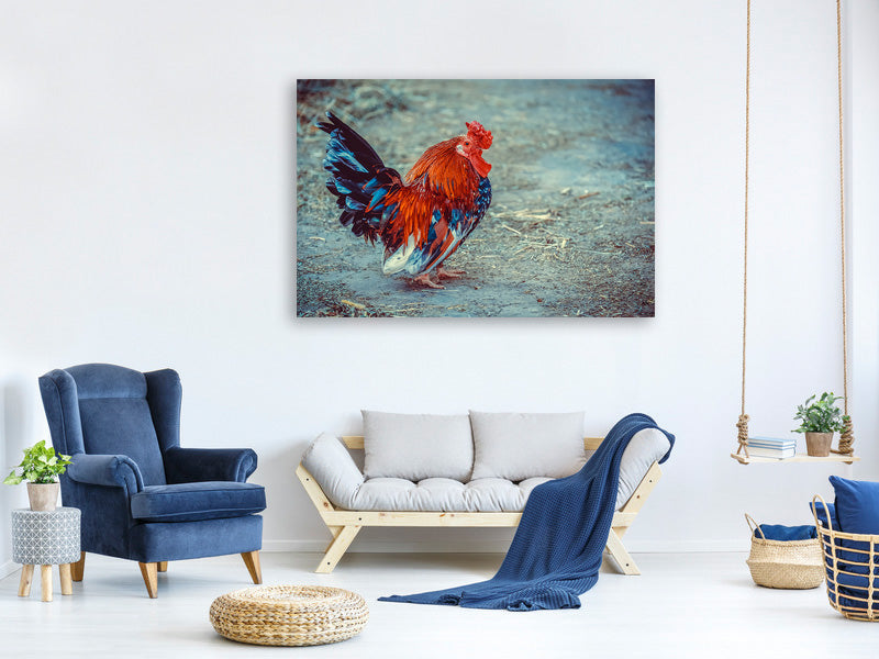 3-piece-canvas-print-proud-cock