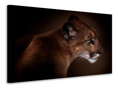 3-piece-canvas-print-puma