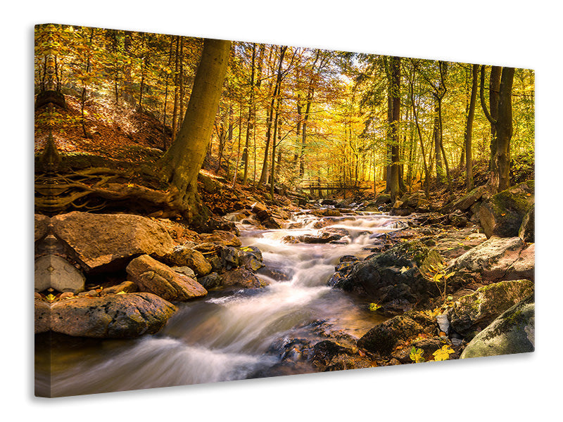 modern-3-piece-canvas-print-real-nature-beauty