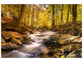 modern-3-piece-canvas-print-real-nature-beauty