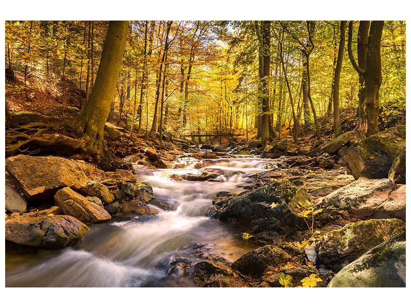 3-piece-canvas-print-real-nature-beauty