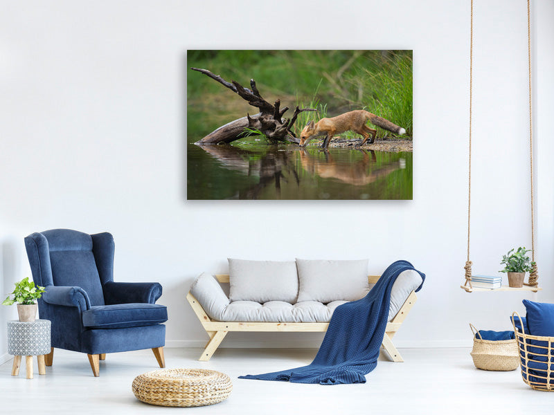 panoramic-3-piece-canvas-print-red-fox-ii