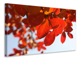 5-piece-canvas-print-red-leaves-xl