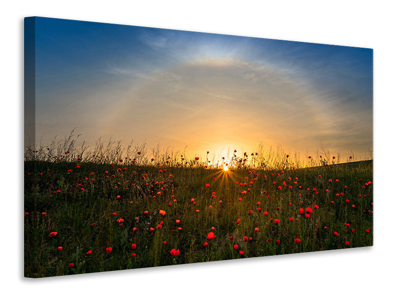 5-piece-canvas-print-red-poppies-and-sunrise